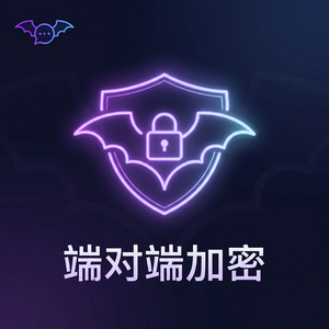 蝙蝠聊天 - 蝙蝠聊天软件文件传输功能：支持哪些格式和大小限制